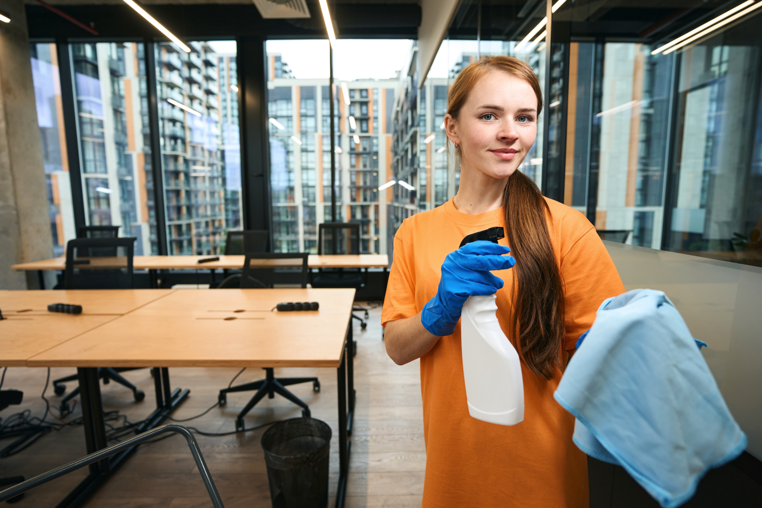 Professional cleaning services